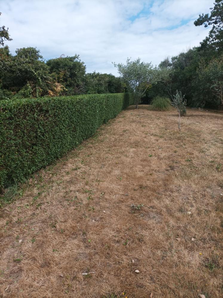 Entretien jardin